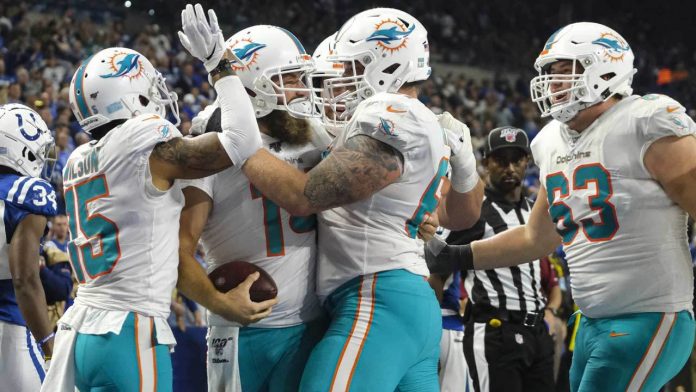 Dolphins progress is the process